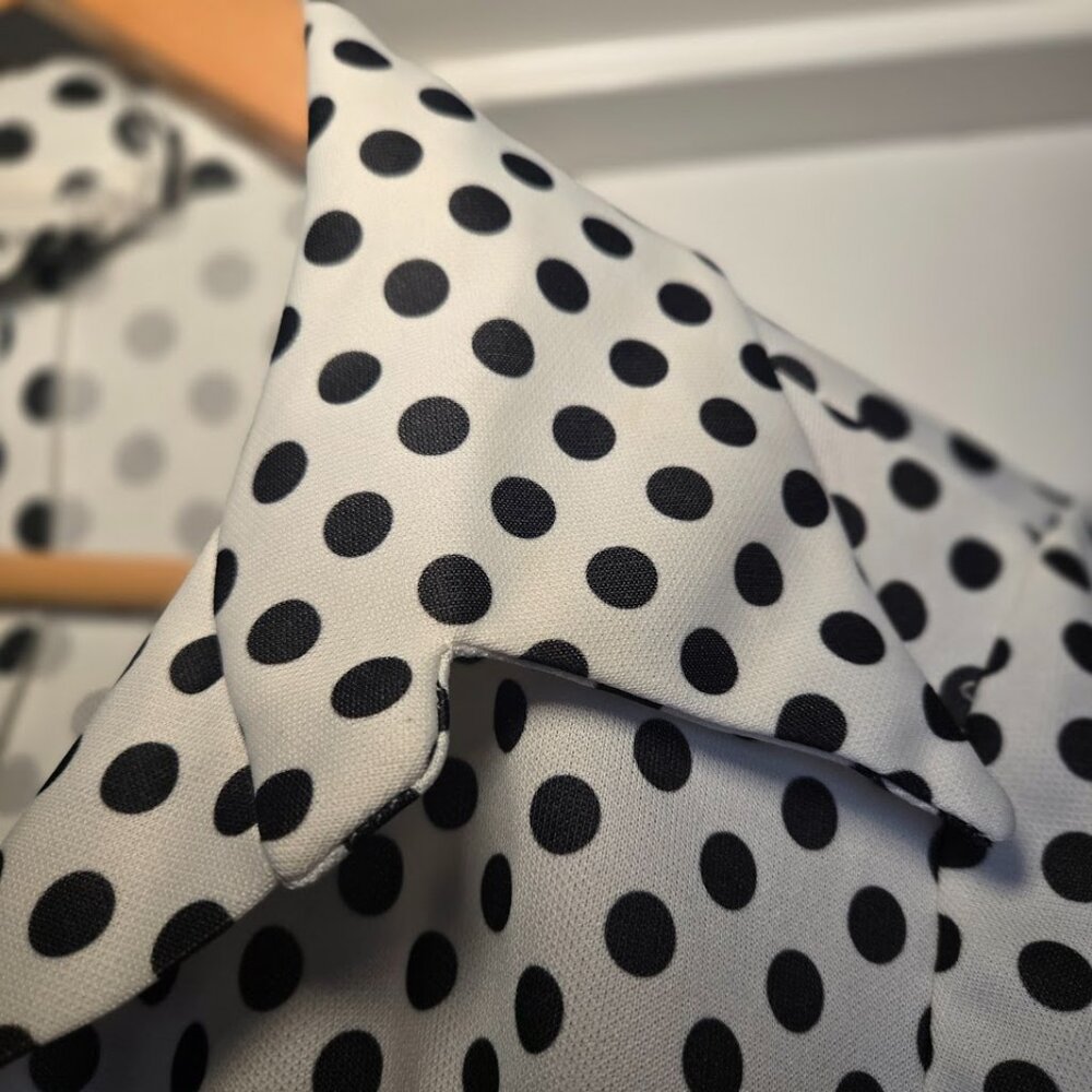 Vintage Hopewell Black & White Polka Dot Dress 70s Mod Long Sleeve A-Line - Picture 1 of 11